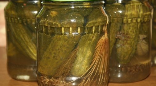 Хранение соленых огурцов в домашних условиях в банках Хранение соленых огурцов в домашних условиях в банках