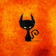 Царегородцева Д