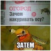 matlos84