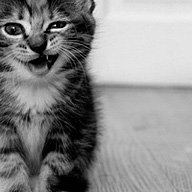 Р_Фондукова