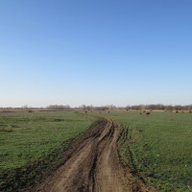 А_Сайдашева