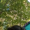 p_snezhanna