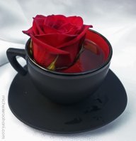 yukhareva77