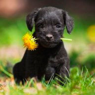 Т_Капризная