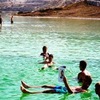 sh_anyusha