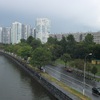l_liza