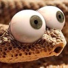 Oqgmnvuc