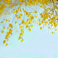 Фатхулина Т