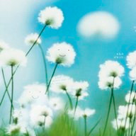 Л_Болчарова