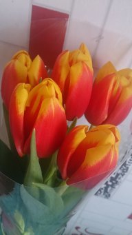 К_Иваненкова