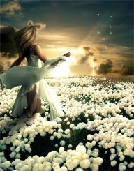 Дормидонтова М