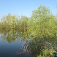 Завертайло В