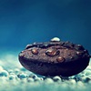Т_Курдалёва