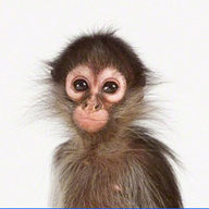 Завгороднева Л