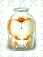 Аввакумова Т