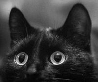 И_Ситникова