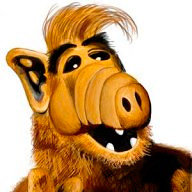 Бондарева С