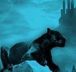 Т_Двадненко