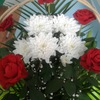 khovricheva91