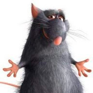 Piuldve