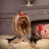 d_lyudmila