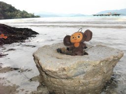 Д_Понкратова