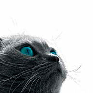 Печёнкина Р