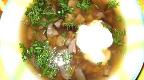 Суп из грибов подберезовиков