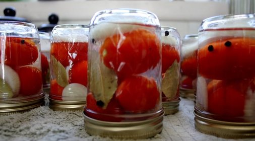 Засолка помидоров холодным способом на зиму