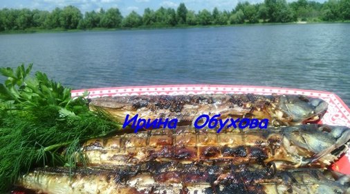 Скумбрия на мангале