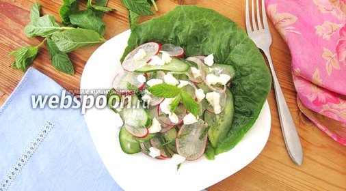 Салат из огурцов с редисом и мятой