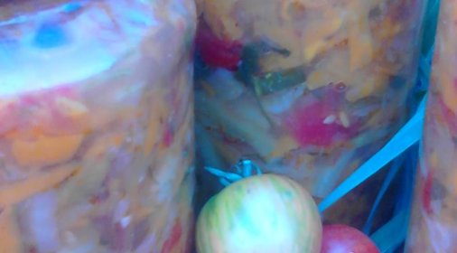 Салат Вдоль по огороду