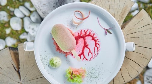 Эскимо из ревеня