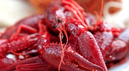 Раки, сваренные в вине