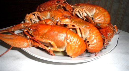 Вареные раки с укропом