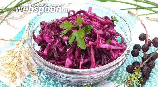 Салат из краснокочанной капусты