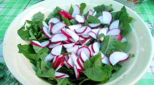 Салат из руколы и редиски