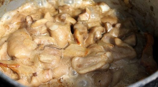 Маслята на костре