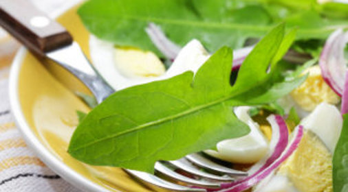 Салат из листьев одуванчика