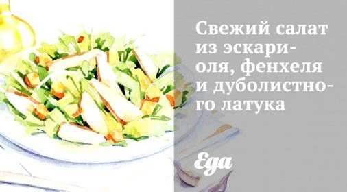 Свежий салат из эскариоля, фенхеля и дуболистного латука