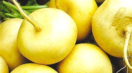 Пюре из репы