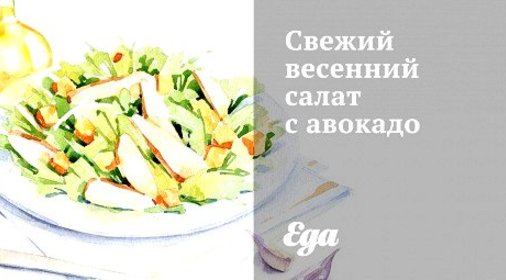 Свежий весенний салат с авокадо