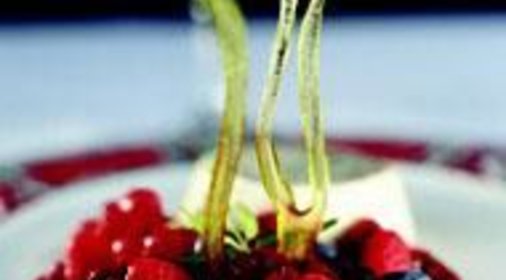 Панакотта (Panacotta)