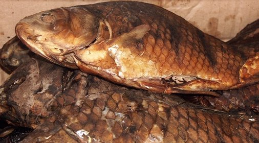 Копченый карась