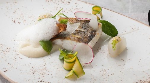 Ладожский судак