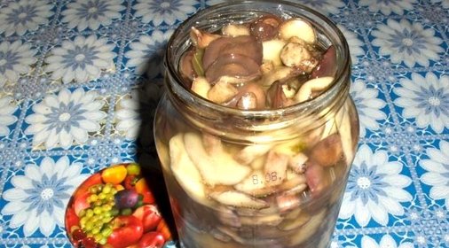 Маслята солёные