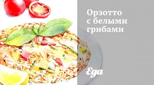 Орзотто с белыми грибами