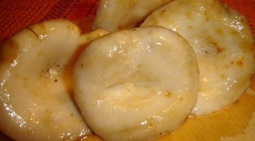 Волнушки холодным способом