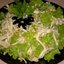 Салат с кедровыми орешками и курицей