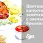 Цветная капуста, запеченная с овечьей брынзой